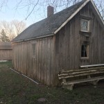 Shed from the back patio