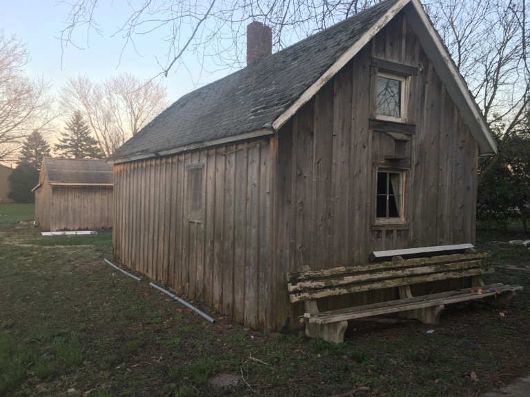 Shed from the back patio