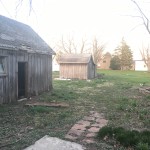 Shed from the back patio