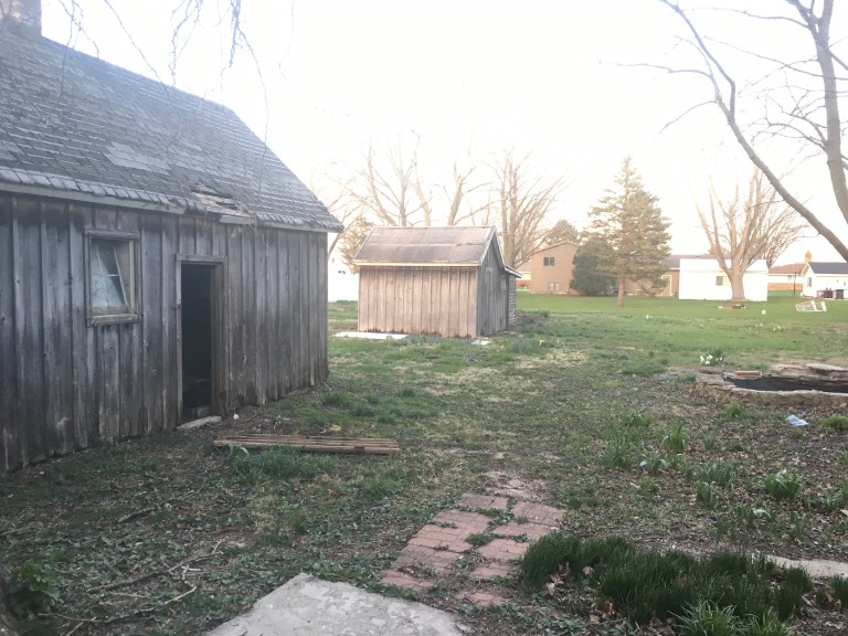 Shed from the back patio