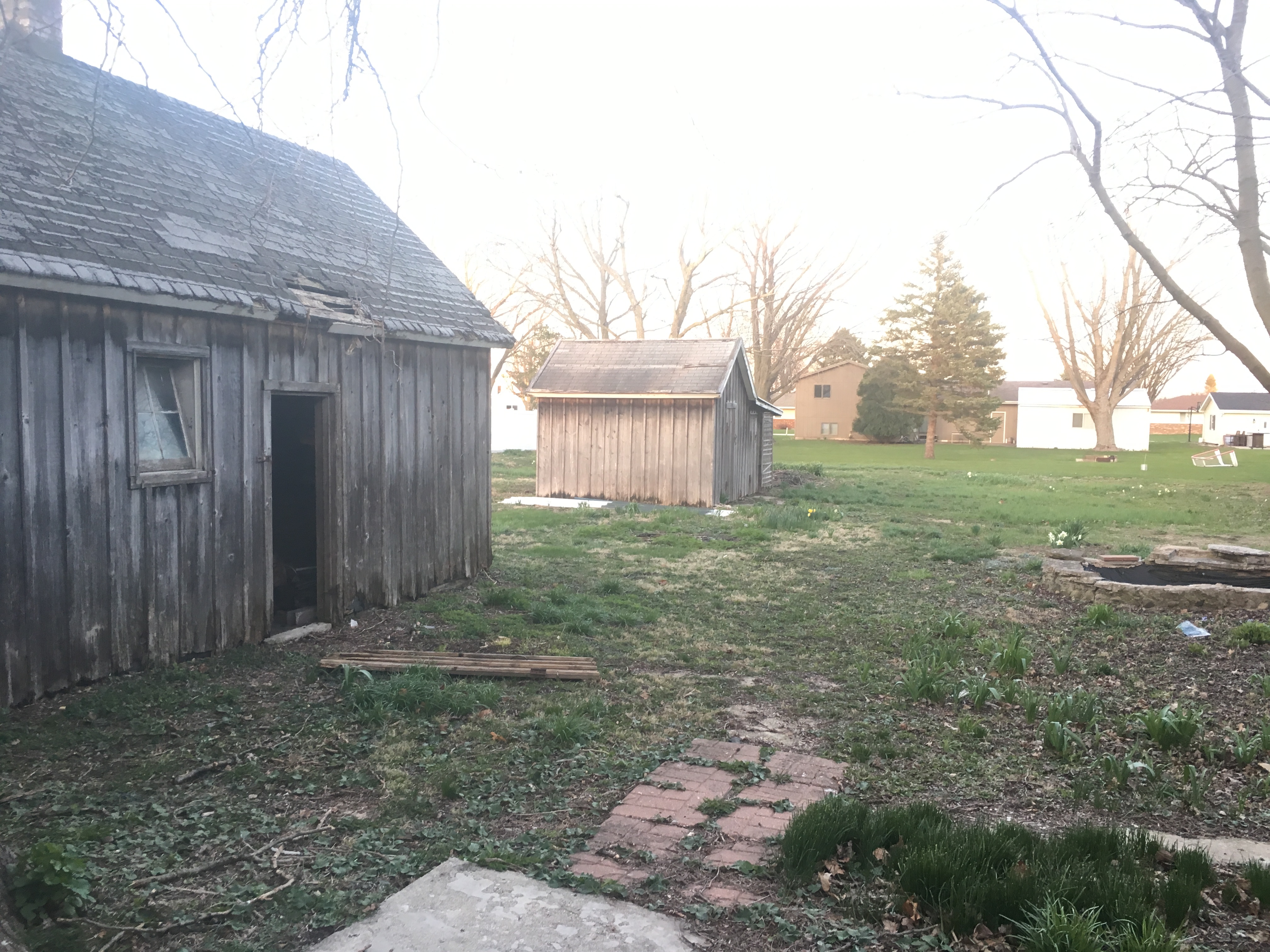 Shed from the back patio