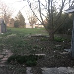 Looking back from the back patio area. There's a goldfish pond, and two perfectly rustic sheds.