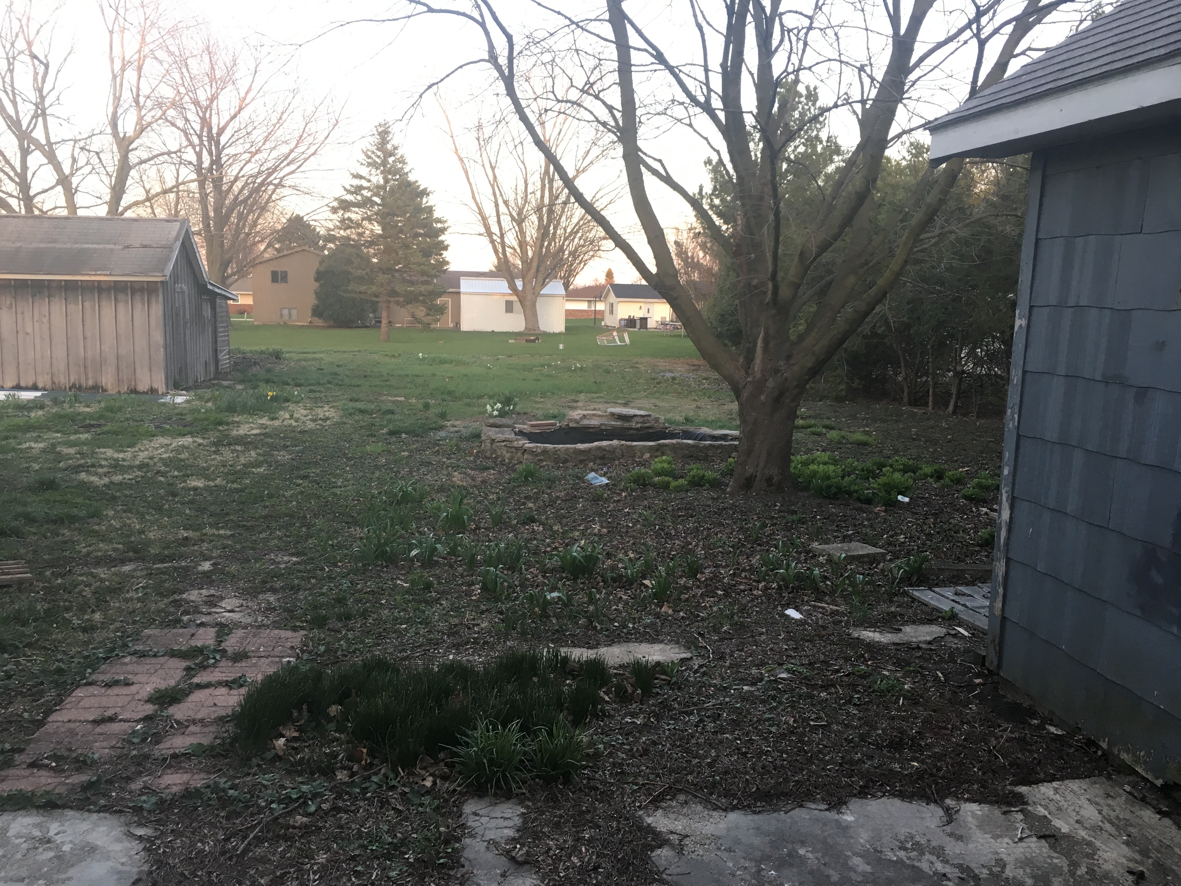 Looking back from the back patio area. There's a goldfish pond, and two perfectly rustic sheds.