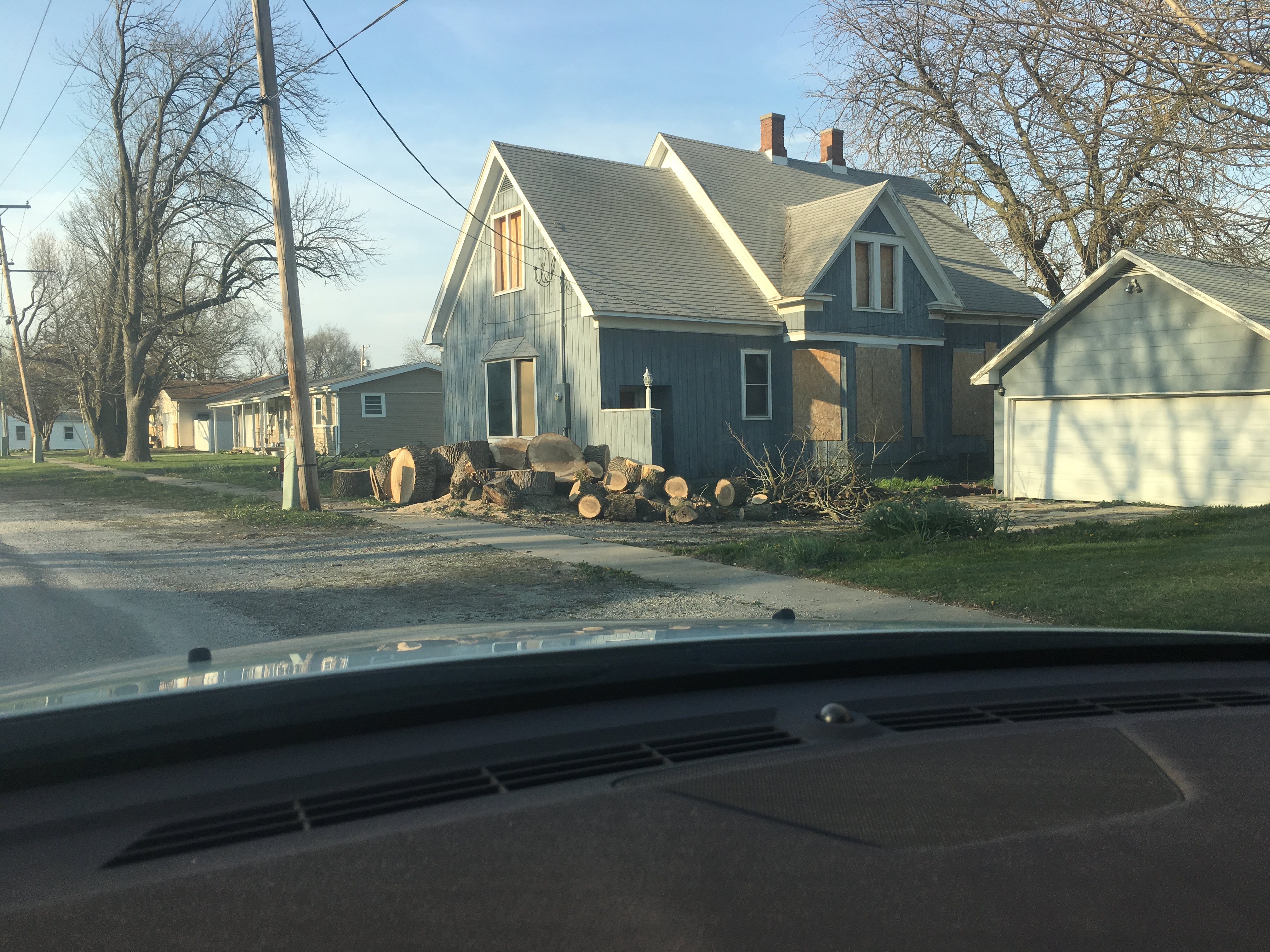 Free tree cutting thanks to the utility company.